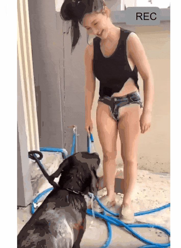 767102f31eefb066dcd54ea149f662e3_1744685332_3046.gif