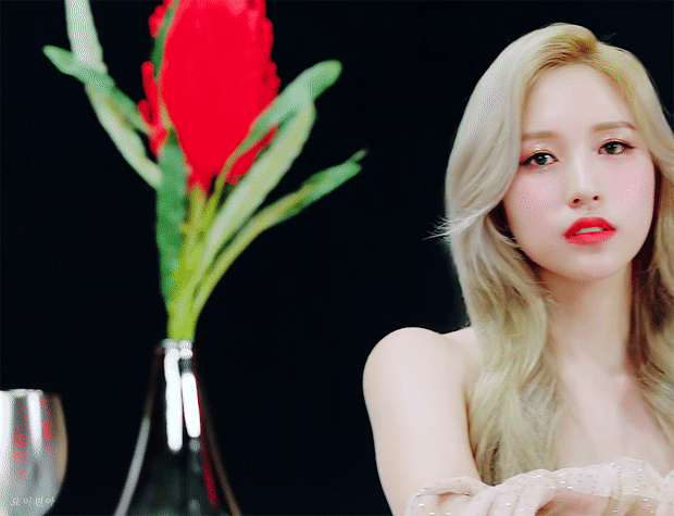 블랙 화이트 미나