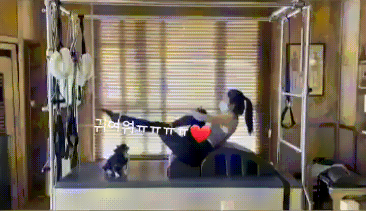 필테지수