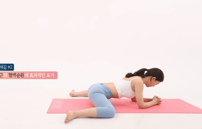 혈액순환의 효과적인 요가
